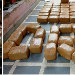 देशभर में चलाए गए अभियानों में डीआरआई ने लगभग 740 किलोग्राम गांजा और चरस जब्त की है, साथ ही अवैध गांजा तस्करी पर अपनी कार्रवाई तेज की है; 13 लोगों को गिरफ्तार किया गया है।